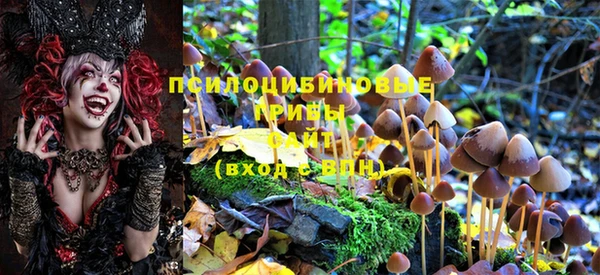 a pvp Нефтегорск